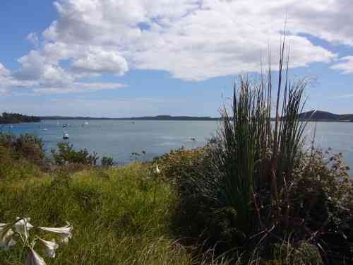 Houhora Harbour