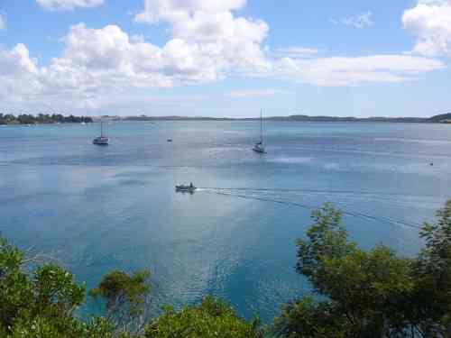 Boats on the Houhora Harbour