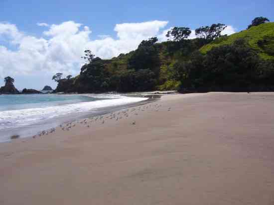 Tauranga Bay, Northland, New Zealand