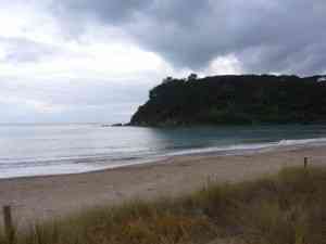 TAIPA BEACH - DOUBTLESS BAY