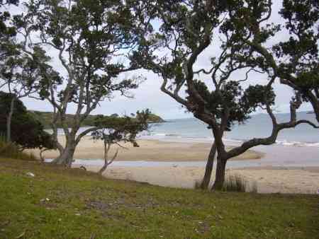 COOPERS BEACH