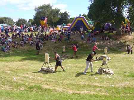 WOOD CHOPPING - SOMEONE LOST THE AXEHEAD