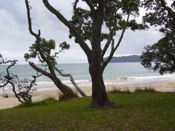 COOPERS BEACH / NORTHLAND / NZ