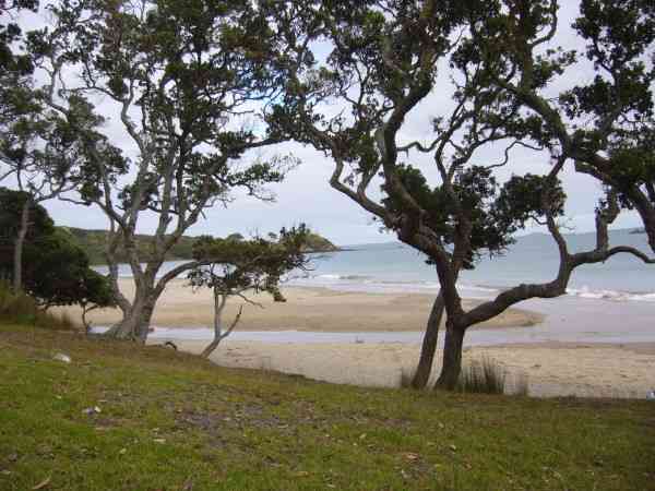 COOPERS BEACH / NORTHLAND / NZ