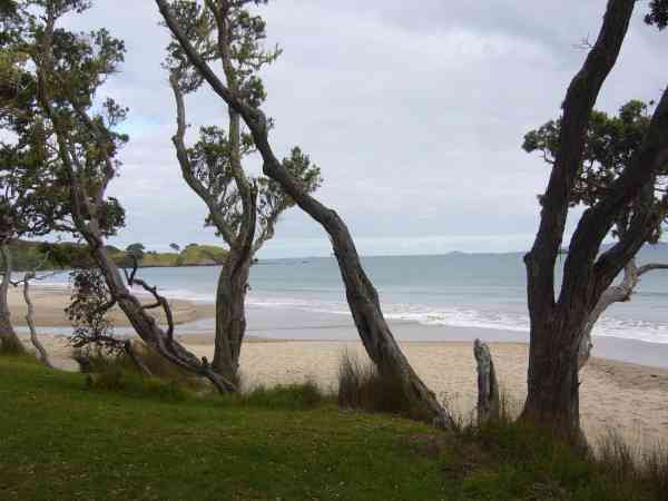 COOPERS BEACH / NORTHLAND / NZ