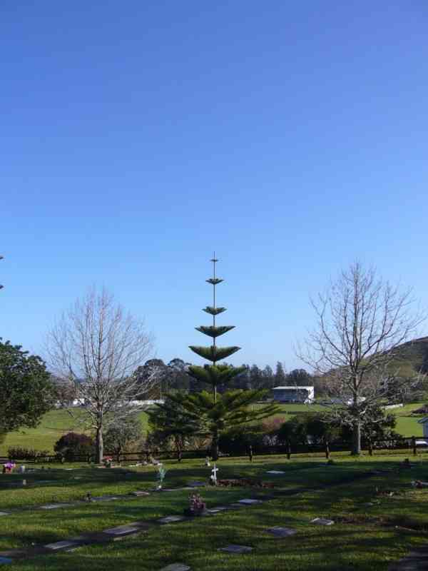 GRAVEYARD: PLEASE NOTICE THE CROSS IN THE SKY