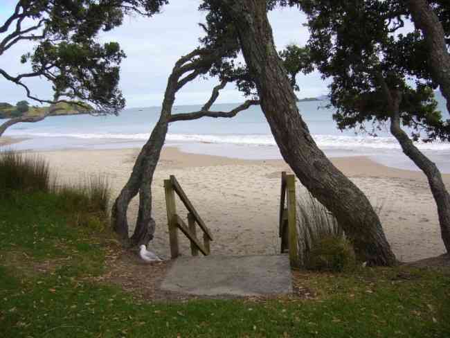 Cooper's Beach