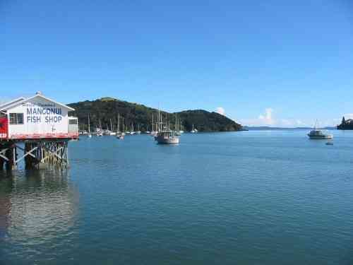 Mangonui