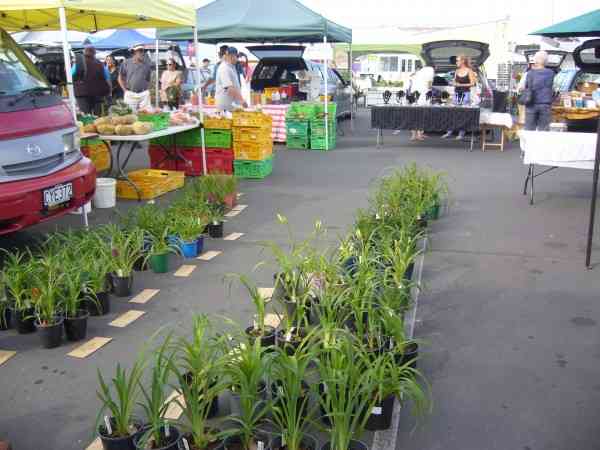 KAITAIA MARKET