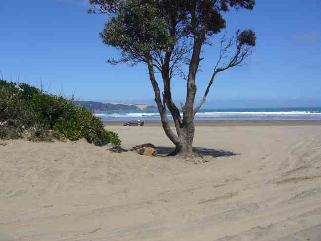 Ahipara, Ninety Mile Beach