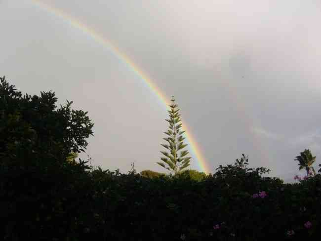 Taken from behind our house