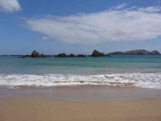 We used to pitch our tent at TAURANGA BAY