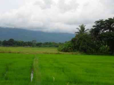 Thailand near Bantak