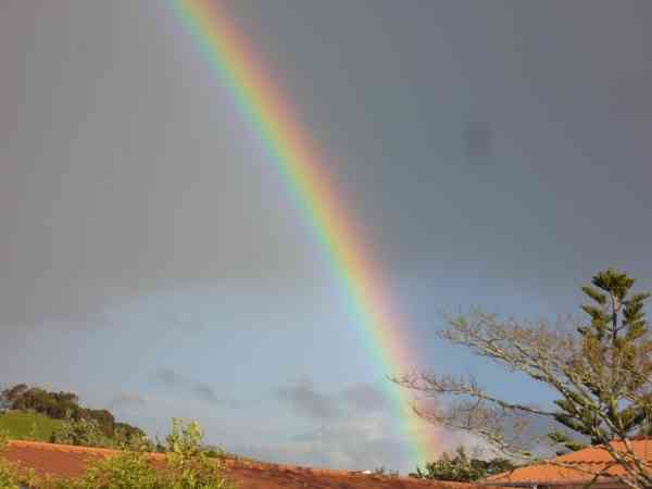 "To get a rainbow you've got to put up with the rain!"