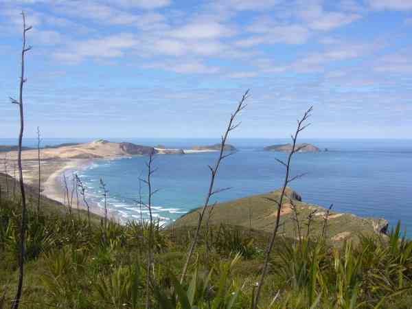 Cape Reinga