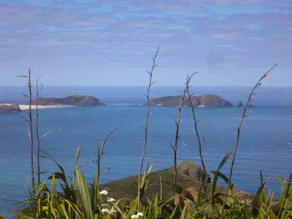 Cape Reinga