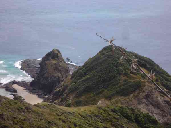 Cape Reinga