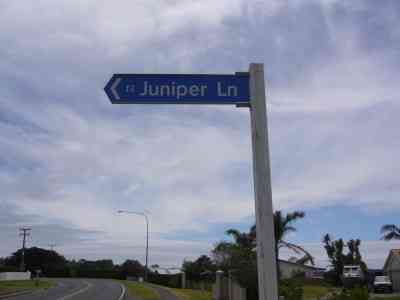 "Juniper Lane"