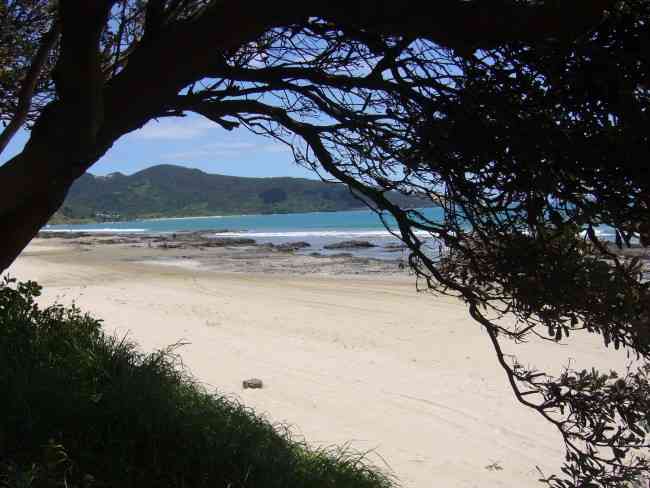 At the Beach in AHIPARA