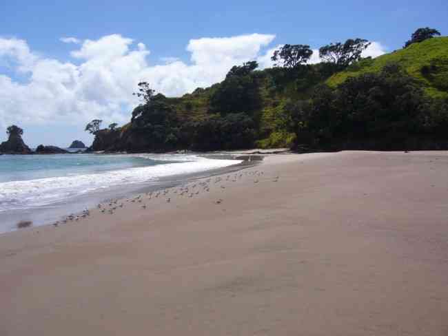 TAURANGA BAY: Northland, New Zealand