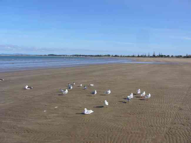 Tokerau Peninsular