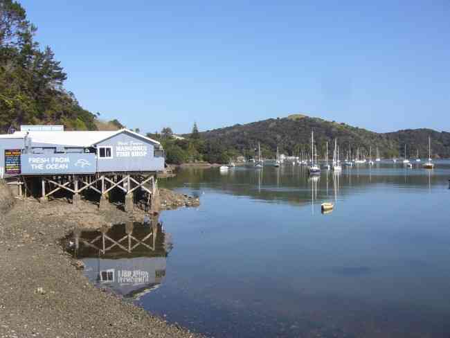 Mangonui Today