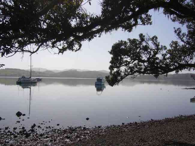 Mangonui Today