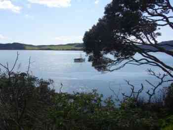 Pukenui, in the north of New Zealand