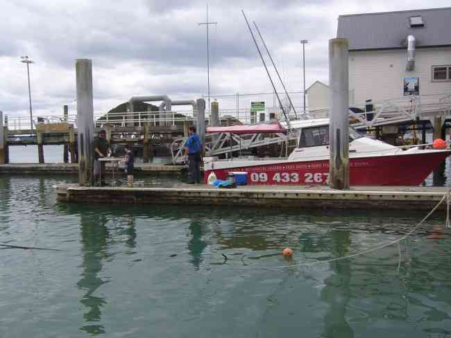 Paihia