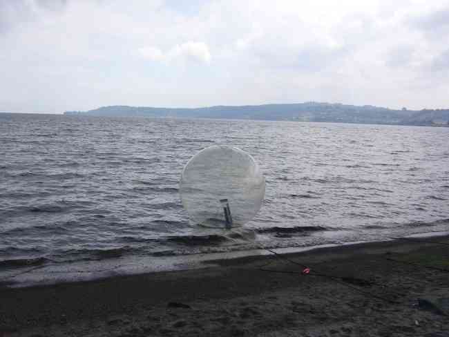 ENTERTAINMENT- WATER WALKING BALLS