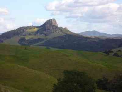 Between Kerikeri and Kaitaia