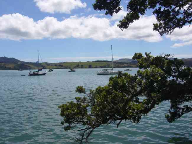 MANGONUI